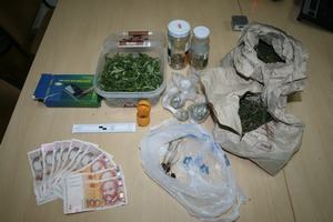 Slika Droga/Gljive-Opatija (1).JPG